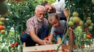 Family Gardening