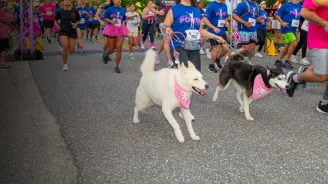 runners at Pink on Parade 2023