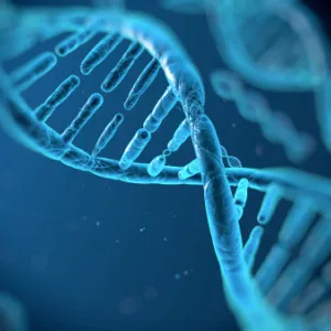 dna_gene