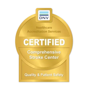 DNV Stroke Center award logo