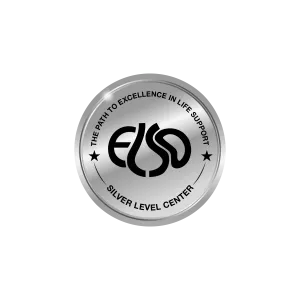ELSO.Silver award