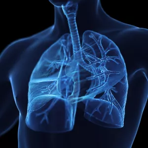 Lung - AdventHealthMD