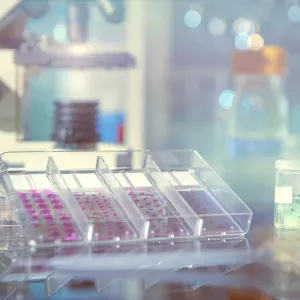 lab equipment