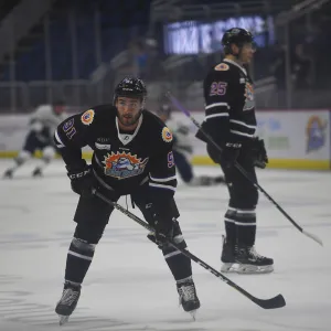 Solar Bear Player.