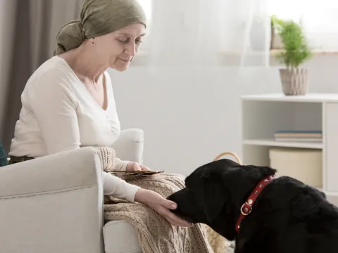 Hospice patient petting a black Labrador Retriever for comfort