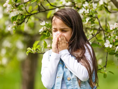 A Little Girl Blows Her Nose in an Orchard as the Flowers are Blooming.