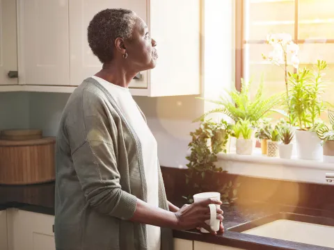 A Woman Stairs Out Her Kitchen Window, Deep in Thought.