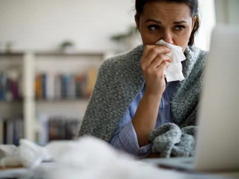 A Woman Surfs the Internet on a Laptop as she Touches Her Nose With a Tissue.