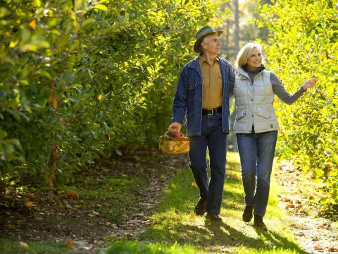 A walk in the vineyard.