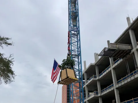 Fish Memorial_Topping Out