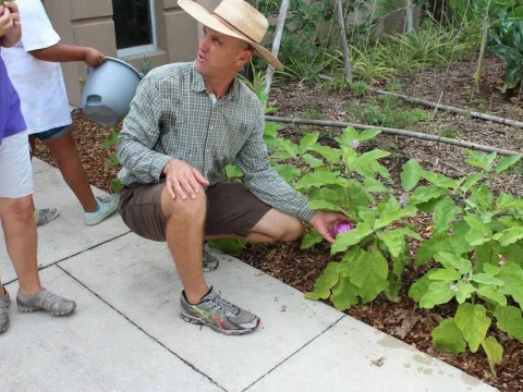 A man inspecting plants in a garden.