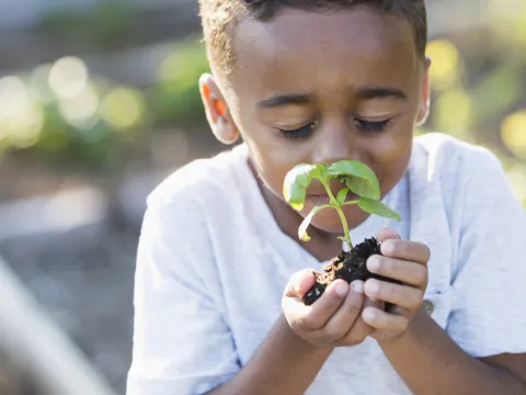 Planting Seeds of Hope and Whole Health in Our Communities