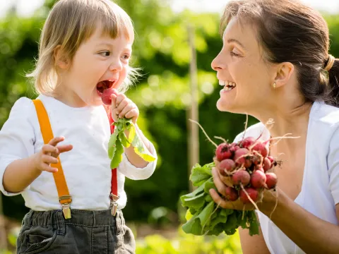 A happy child eats a raddish as a snack in the garden.