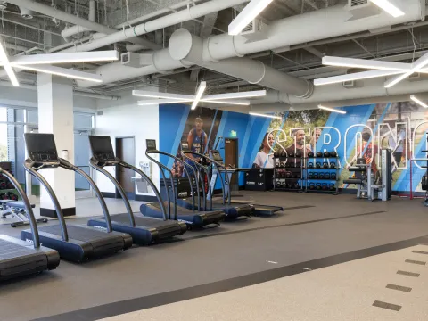 Training Center - Physical therapy and sports performance space