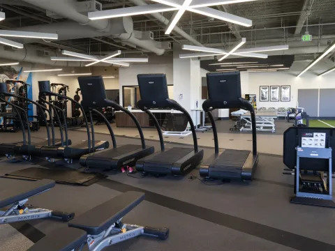 Woodway Treadmills for physical therapy and sports performance training.