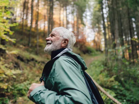 Older man hiking through the forest.