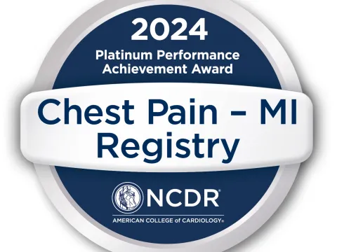 2024 Platinum Performance Achievement Award logo