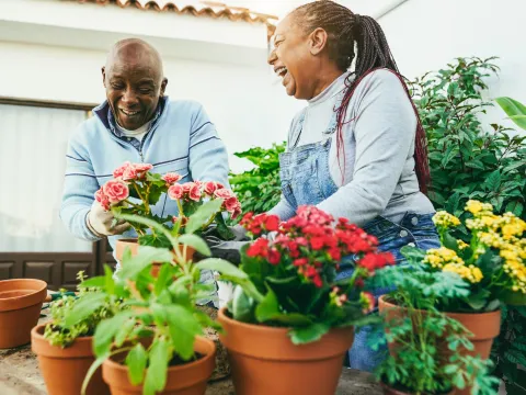 A black couple outside gardening with an assortment of terracotta pots with plants.