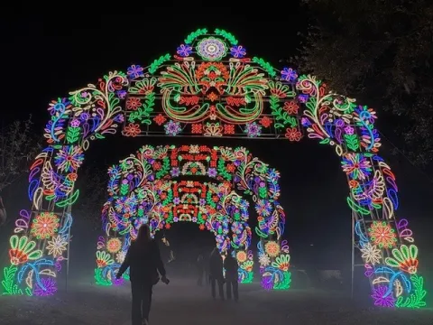Dazzling Nights event presented by AdventHealth