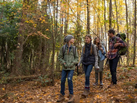 Family of four hiking in the forest