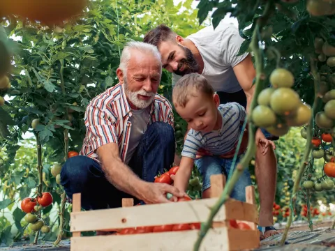 Family Gardening