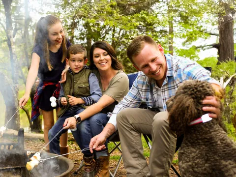 Family sitting around campfire and cooking s'mores with the family dog