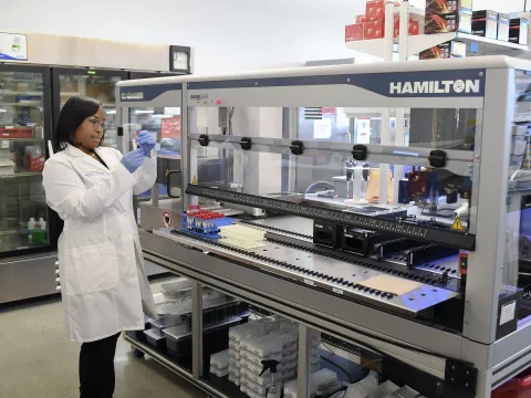 Female Laboratory Team Member Using Hamilton Robot