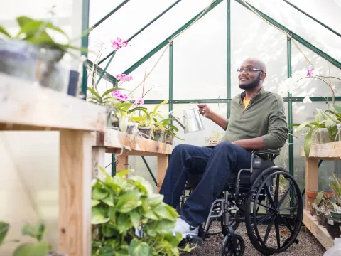 Man in a wheelchair in a greenhouse.