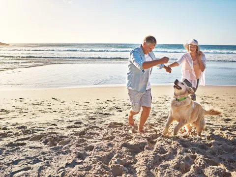 Older couple walking on the beach with their dog.