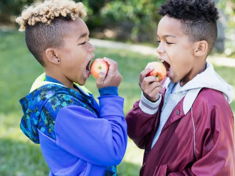 Two boys eating apples.