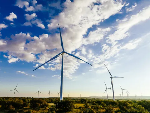 Photo credit: Scout Clean Energy