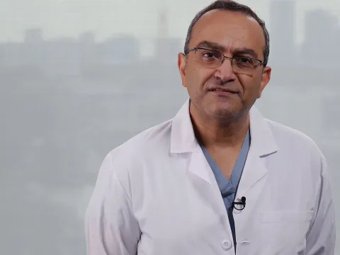 Dr  Seifein
