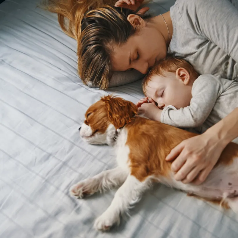 Better sleep environment
