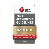 2023 Get with the Guidelines Stroke Gold Plus Honor Roll